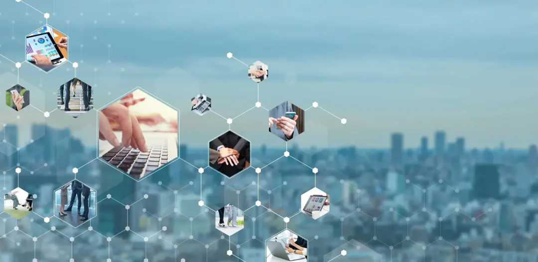 Services - Professional business consultation